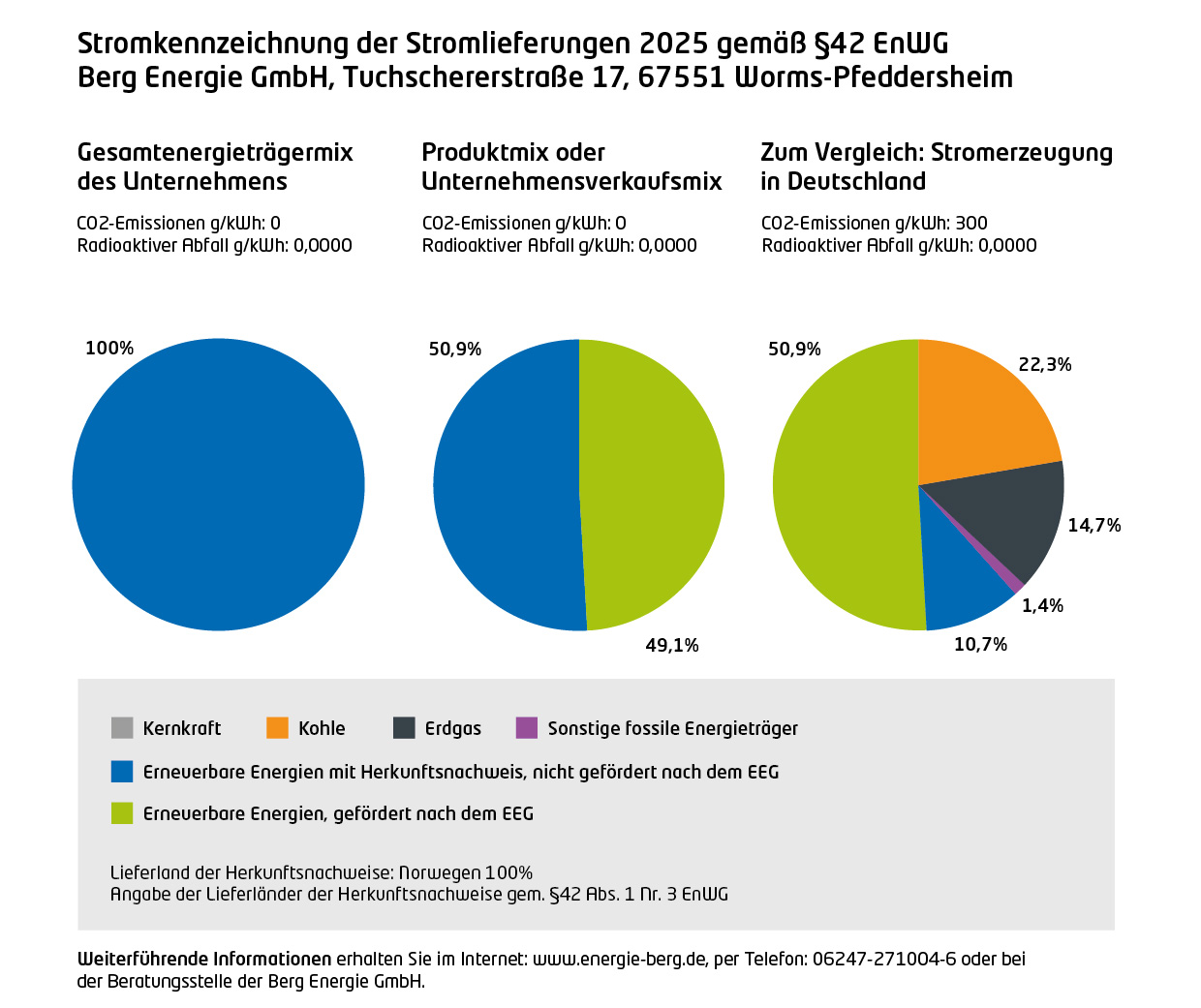 Stromkennzeichnung 2025